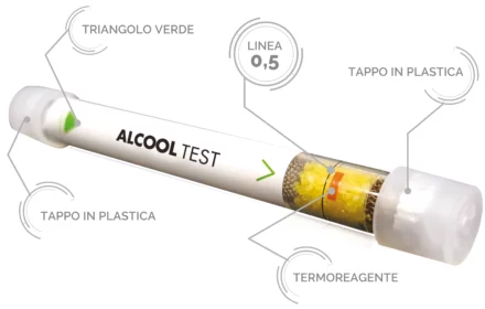 ampolla_2019